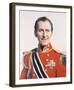 Peter Cushing-null-Framed Photo