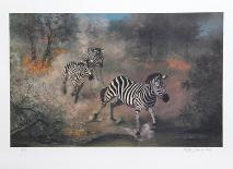 Fire on the Savannah-Peter Darro-Limited Edition