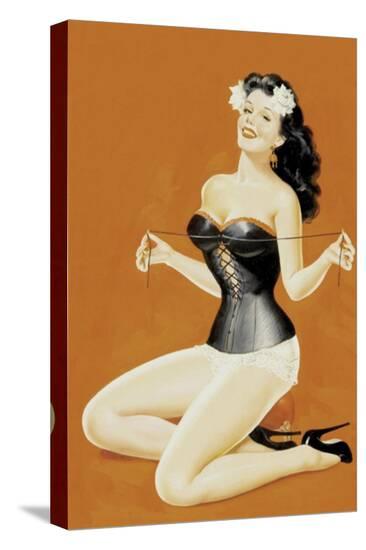 Stretched Canvas Print, , large