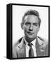 Peter Finch-null-Framed Stretched Canvas