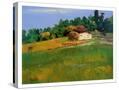 Stretched Canvas