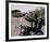 Peter Fonda, Easy Rider (1969)-null-Framed Photo