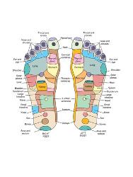 Reflexology points