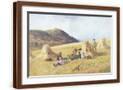 Brown Frame