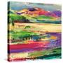 Stretched Canvas