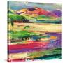 Stretched Canvas