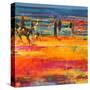 Stretched Canvas