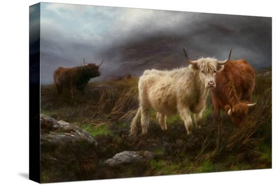 Stretched Canvas Print, , large