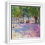 White Frame