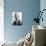 Peter Graves-null-Mounted Photo displayed on a wall