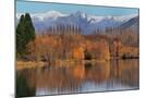 Wood Mount