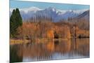Wood Mount