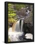 Essential Black