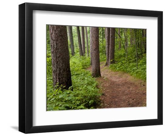 Premium Photographic Print, , large