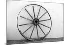 Wood Mount