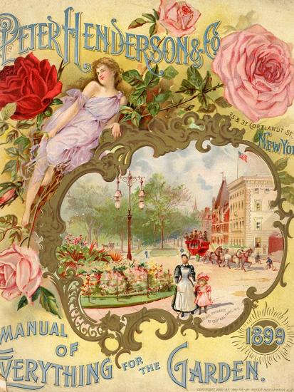 Art Print, , large