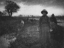 Poling the Marsh Hay, 1886 platinum print from glass negative-Peter Henry Emerson-Giclee Print