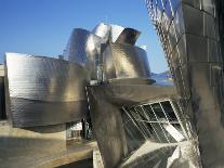 Guggenheim Museum, Bilbao, Euskadi (Pais Vasco), Spain-Peter Higgins-Photographic Print
