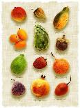 Various Herbs on Marble-Peter Howard Smith-Photographic Print