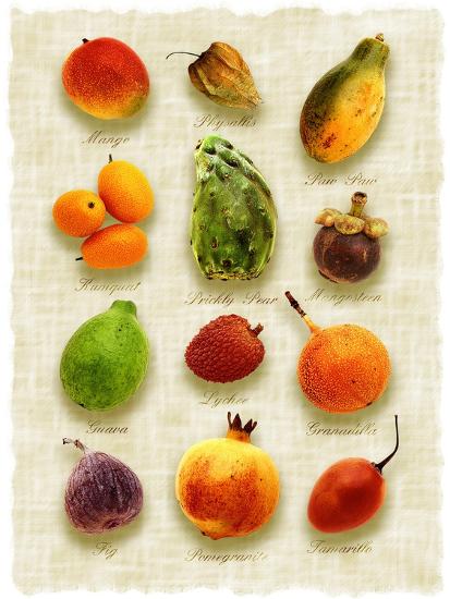 Premium Photographic Print, , large