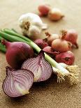 Various Onion Family Vegetables-Peter Howard Smith-Photographic Print