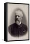 Peter Ilich Tchaikovsky, Russian Composer, Late 19th Century-Charles Reutlinger-Framed Stretched Canvas