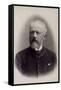 Peter Ilich Tchaikovsky, Russian Composer, Late 19th Century-Charles Reutlinger-Framed Stretched Canvas