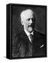 Peter Ilich Tchaikovsky-null-Framed Stretched Canvas