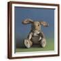 Brown Frame