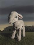 Lamb, 2009,-Peter Jones-Giclee Print