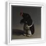 White Frame