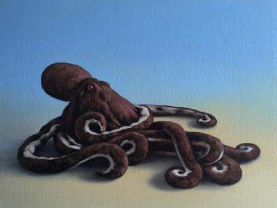 Octopus, 2016,