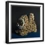 Black Frame