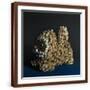 Brown Frame