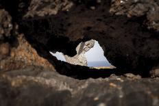 rock cave on the beach, Cap de Creus, Costa Brava, Catalonia, Spain-Peter Kreil-Photographic Print