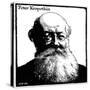 Peter Kropotkin, Russian Anarchist, C1920-null-Stretched Canvas