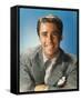 Peter Lawford-null-Framed Stretched Canvas