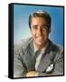 Peter Lawford-null-Framed Stretched Canvas