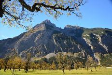 Austria, Tyrol, Autumn-Peter Lehner-Stretched Canvas