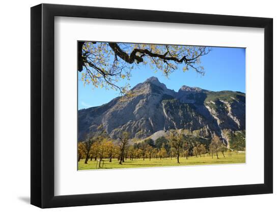 Premium Photographic Print, , large