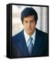 Peter Lupus, Mission: Impossible (1966)-null-Framed Stretched Canvas