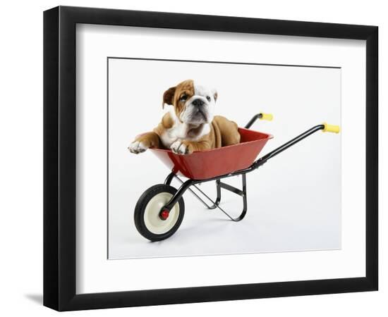 Photographic Print, , large