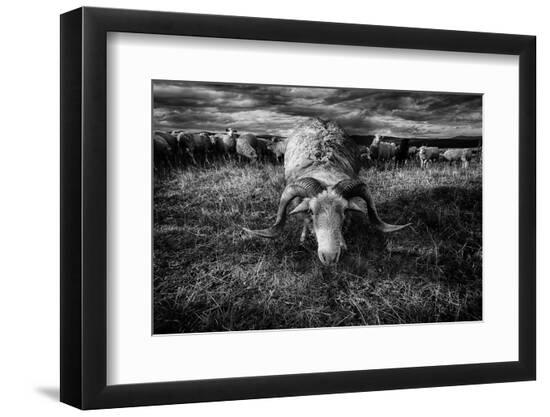 Photographic Print, , large