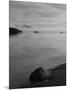 Wood Mount