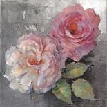 Roses on Gray II Crop-Peter McGowan-Stretched Canvas