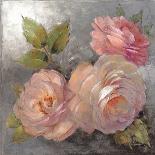 Roses on Gray II Crop-Peter McGowan-Stretched Canvas