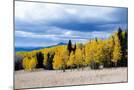 Wood Mount