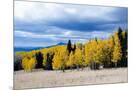 Wood Mount