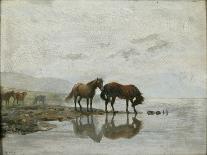 Cows by the water, 1880-Peter Nicolai Arbo-Giclee Print