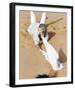 Peter O'Toole, Lawrence of Arabia (1962)-null-Framed Photo